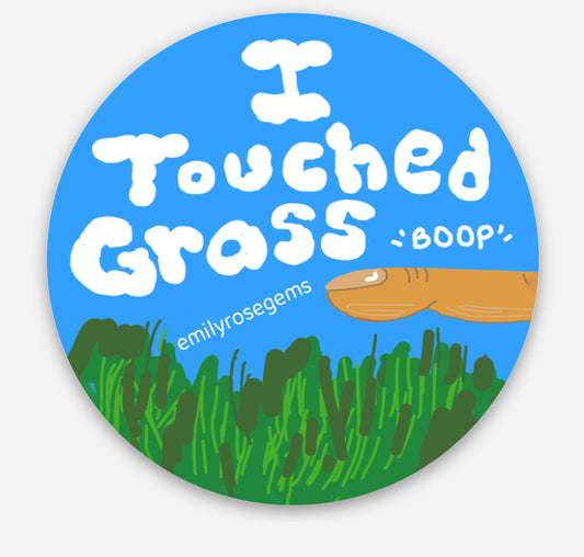 I Touched Grass