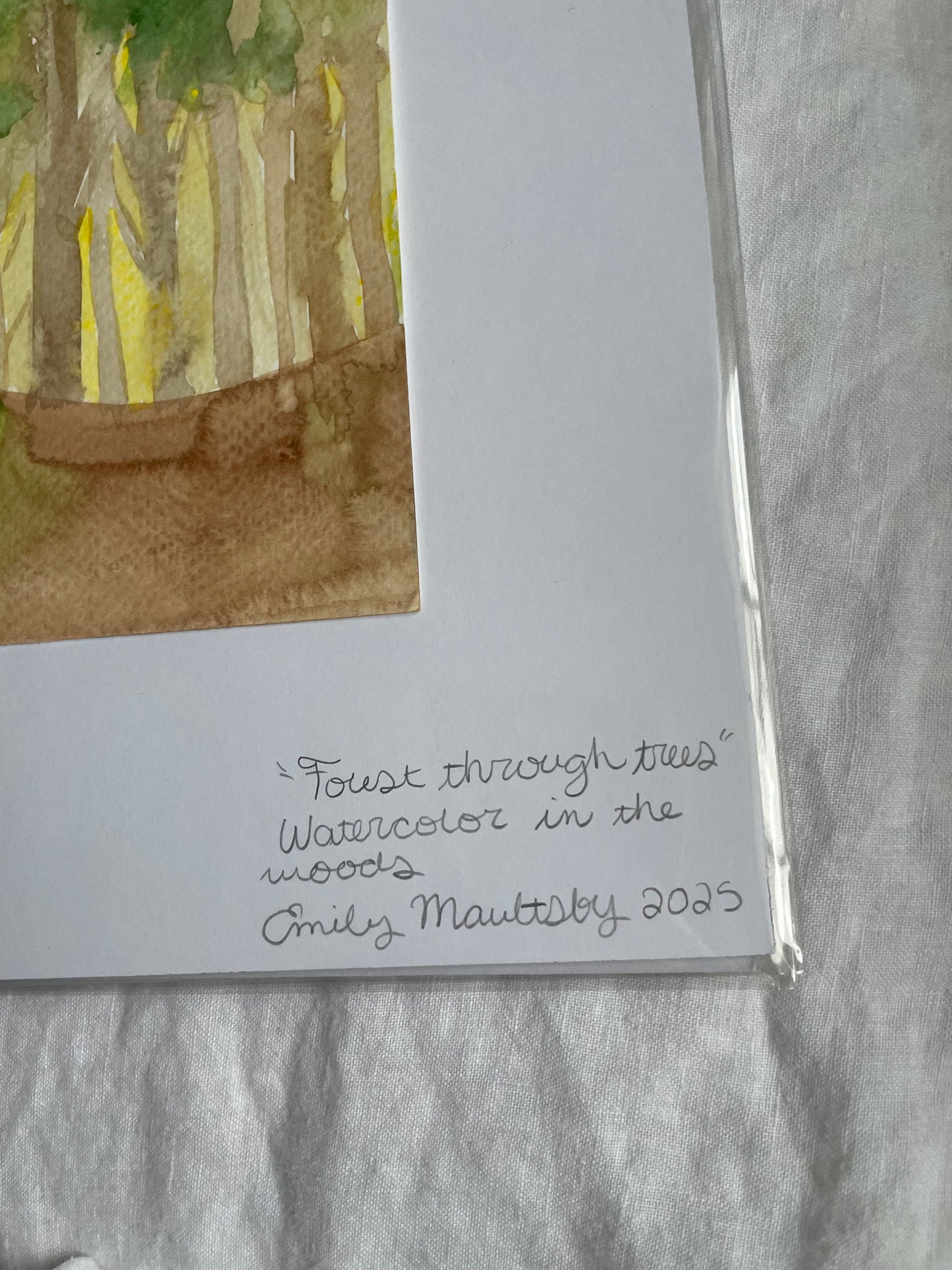 Forest Through Trees