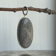 Load image into Gallery viewer, Fossil Pendant