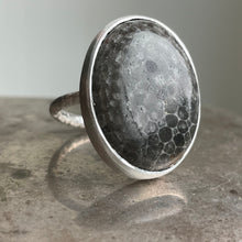 Load image into Gallery viewer, Fossil Oval XL