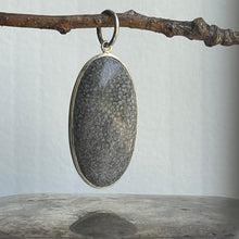 Load image into Gallery viewer, Fossil Pendant