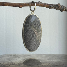 Load image into Gallery viewer, Fossil Pendant