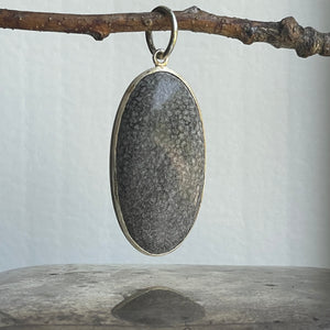 Fossil Pendant