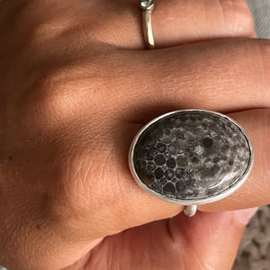 Fossil Oval XL
