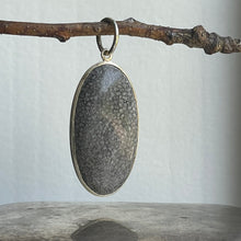 Load image into Gallery viewer, Fossil Pendant